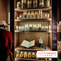 Médecines d'Asie, l'art de l'équilibre : l'exposition bien-être étonnante du musée Guimet - photos - IMG20230516105503