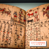 Médecines d'Asie, l'art de l'équilibre : l'exposition bien-être étonnante du musée Guimet - photos - IMG20230516110452