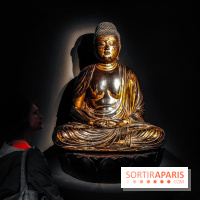 Médecines d'Asie, l'art de l'équilibre : l'exposition bien-être étonnante du musée Guimet - photos - IMG20230516110020