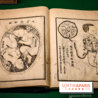 Médecines d'Asie, l'art de l'équilibre : l'exposition bien-être étonnante du musée Guimet - photos - IMG20230516111436