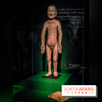 Médecines d'Asie, l'art de l'équilibre : l'exposition bien-être étonnante du musée Guimet - photos