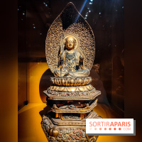 Médecines d'Asie, l'art de l'équilibre : l'exposition bien-être étonnante du musée Guimet - photos - IMG20230516104222