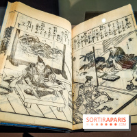 Médecines d'Asie, l'art de l'équilibre : l'exposition bien-être étonnante du musée Guimet - photos - IMG20230516104911