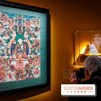 Médecines d'Asie, l'art de l'équilibre : l'exposition bien-être étonnante du musée Guimet - photos - IMG20230516103336