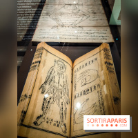 Médecines d'Asie, l'art de l'équilibre : l'exposition bien-être étonnante du musée Guimet - photos - IMG20230516105123