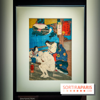 Médecines d'Asie, l'art de l'équilibre : l'exposition bien-être étonnante du musée Guimet - photos