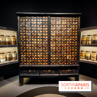 Médecines d'Asie, l'art de l'équilibre : l'exposition bien-être étonnante du musée Guimet - photos - IMG20230516105630