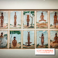 Médecines d'Asie, l'art de l'équilibre : l'exposition bien-être étonnante du musée Guimet - photos