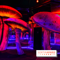 Le labyrinthe de Tim Burton - IMG 2567