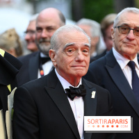 ©Rachid Bellak - Martin Scorsese et Robert De Niro