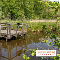 Sentier découverte de Maincourt - Vallée de Chevreuse -  A7C4066