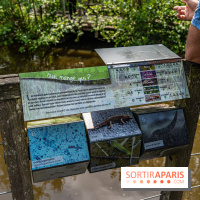 Sentier découverte de Maincourt - Vallée de Chevreuse -  A7C4067