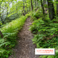 Sentier découverte de Maincourt - Vallée de Chevreuse -  A7C4097