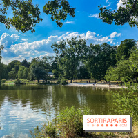 Visuel forêt  - IMG 5163