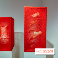 Expo Memory Under The Skin de Chiharu Shiota à Paris, nos photos - IMG 0128