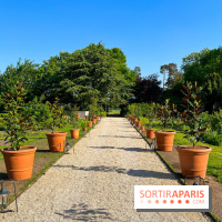 Le Jardin du Parfumeur à Versailles