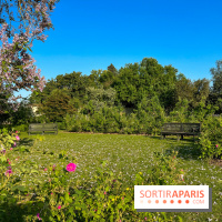 Le Jardin du Parfumeur à Versailles