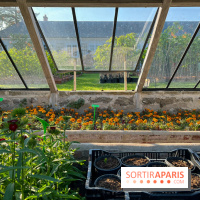 Le Jardin du Parfumeur à Versailles