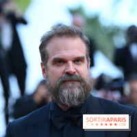 ©Rachid Bellak - David Harbour