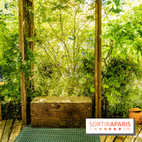 Jardins jardin au Tuileries 2023 - photos  -  A7C4717