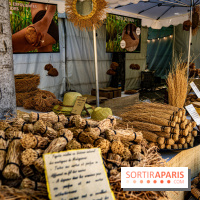 Jardins jardin au Tuileries 2023 - photos  -  A7C4715