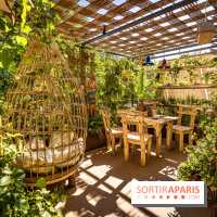 Jardins jardin au Tuileries 2023 - photos  -  A7C4683