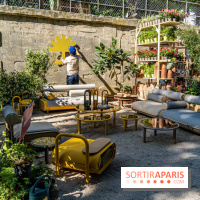 Jardins jardin au Tuileries 2023 - photos  -  A7C4617