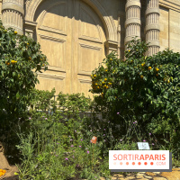 Chanel à Jardins, Jardin 2023