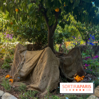 Chanel à Jardins, Jardin 2023 - image00011