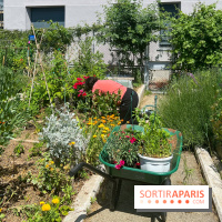 Jardins partagés (toit Beaugrenelle) - image00003