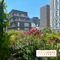 Jardins partagés (toit Beaugrenelle) - image00004