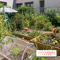 Jardins partagés (toit Beaugrenelle) - image00005