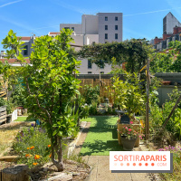 Jardins partagés (toit Beaugrenelle) - image00006