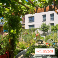 Jardins partagés (toit Beaugrenelle) - image00008