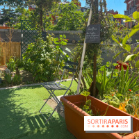 Jardins partagés (toit Beaugrenelle) - image00009