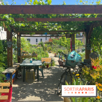 Jardins partagés (toit Beaugrenelle) - image00013