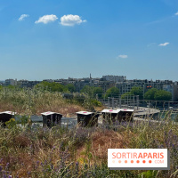 Les toits de Beaugrenelle - image00007