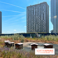 Les toits de Beaugrenelle - image00009