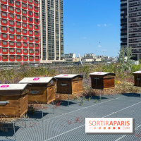 Les toits de Beaugrenelle - image00010