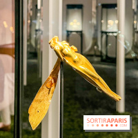 Exposition  - image00019