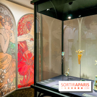 Exposition