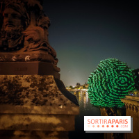 Nuit Blanche 2023 : des projections lumineuses magiques au Square du Vert Galant de l'Île de la Cité