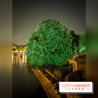 Nuit Blanche 2023 : des projections lumineuses magiques au Square du Vert Galant de l'Île de la Cité