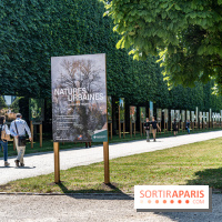 Le Gué, l'installation éphémère du Domaine de Sceaux qui fait marcher sur l'eau