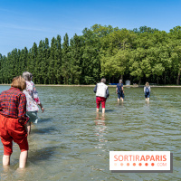 Le Gué, l'installation éphémère du Domaine de Sceaux qui fait marcher sur l'eau