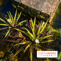 Les Jardins de Sonja au Perray-en-Yvelines