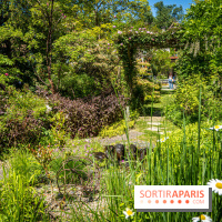 Les Jardins de Sonja au Perray-en-Yvelines -  A7C4977