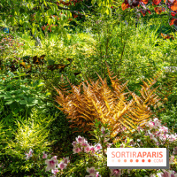 Les Jardins de Sonja au Perray-en-Yvelines