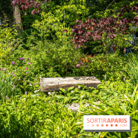 Les Jardins de Sonja au Perray-en-Yvelines -  A7C5004