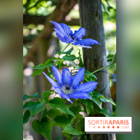 Les Jardins de Sonja au Perray-en-Yvelines